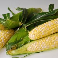 Crookham Sweet Corn Sweetness