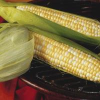 Crookham Sweet Corn Trinity