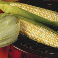 Crookham Sweet Corn Trinity