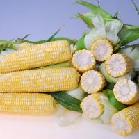 Crookham SweetCorn_B672