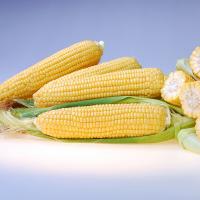 15-988 Crookham Sweet Corn Processors