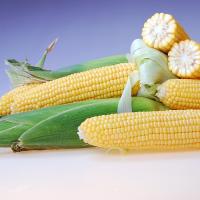 Royalty Sweet Corn Processors_Crookham Company