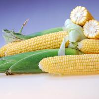 Royalty Sweet Corn Processors_Crookham Company