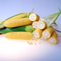 Samyra Sweet Corn Processor Crookham Company