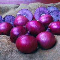 Valentine Short Day Onion Crookham Onions