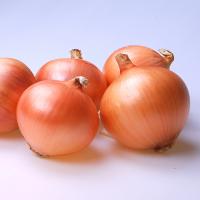 Salute Crookham Onions Intermediate