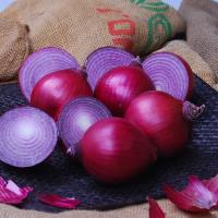 Valentine Short Day Red Onion Crookham Company