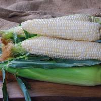 Diamond Mine CSQWF15-1007_Crookham Sweet Corn QuadSweets