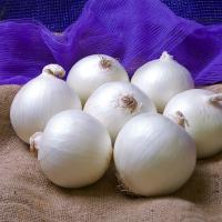 OIWS15_5000 White Summit Intermediate Crookham Onion Seeds