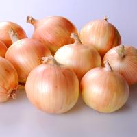 Delightful OIYS15-0092 Intermediate Onion Crookham Seed