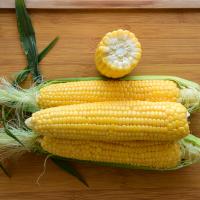 Enterprise  Sweet Corn Processor Seed Australia Crookham Company ears on table