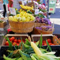 Nirvana Sweet Corn at farmer's market Crookham Company