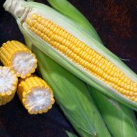Sweet Corn Processor Seed Marvel Edge Crookham Company Seed