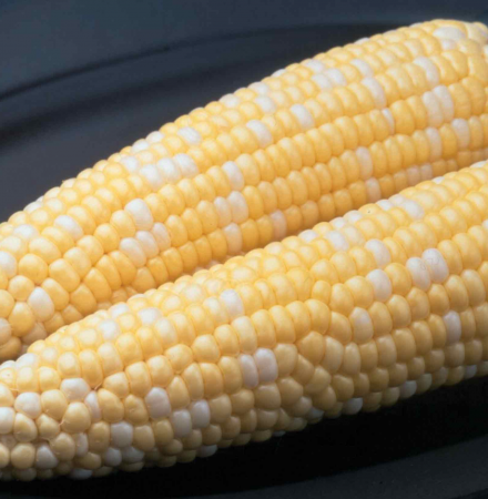 Ambrosia Sweet Corn Crookham Company Ambrosia