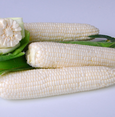Crookham Sweet Corn Seed Argent 