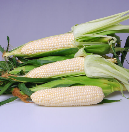 Eden Sweet Corn Fresh Market Crookham Company Crookham Sweet Corn Eden