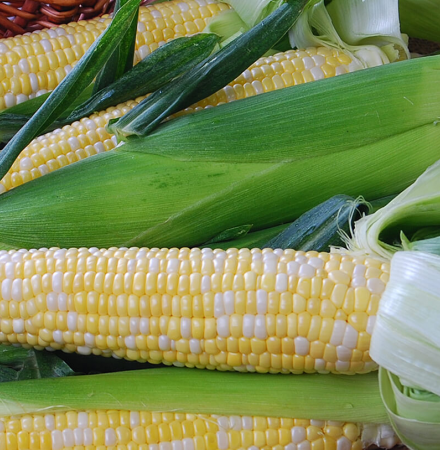 Crookham Sweet Corn Nectar