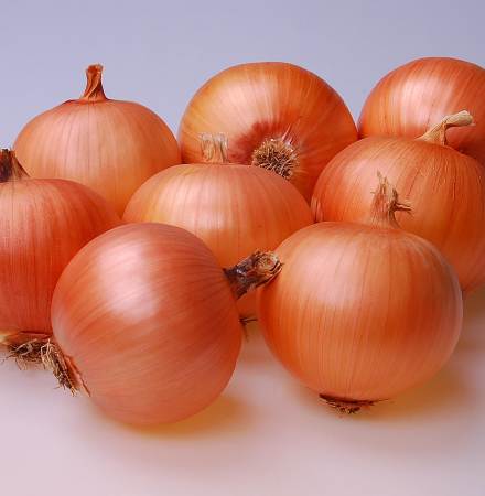 Caldwell Long Day Onions Crookham Company Crookham Onion Caldwell
