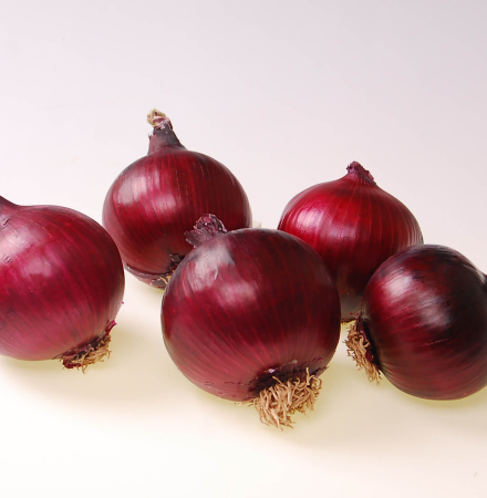 Crookham Onion Seed Red Ranger 15-1041