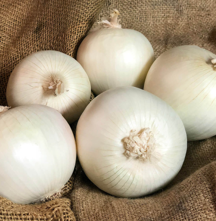 Crookham Onion White Ace