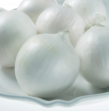 White Castle Short Day Onion Crookham Onion Seed Short Day Crookham Onion Seed White Castle