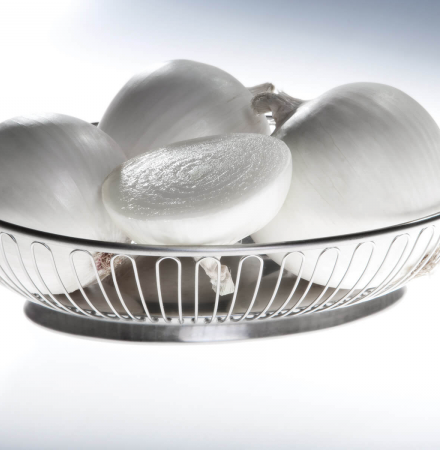 White Cloud Crookham Long Day Onion Crookham Onion White Cloud