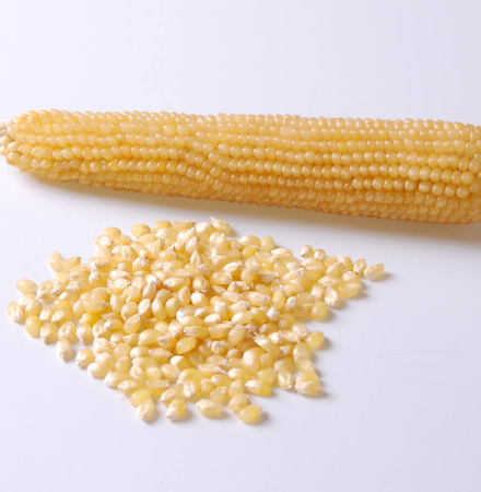 R98114W Crookham Popcorn Crookham Popcorn R98114W