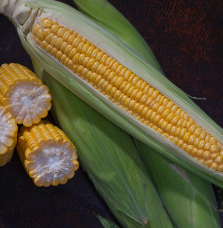 Crookham Sweet Corn Marvel