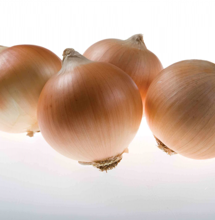 Salute Crookham Onions Intermediate Crookham Onion Salute Yellow Spanish