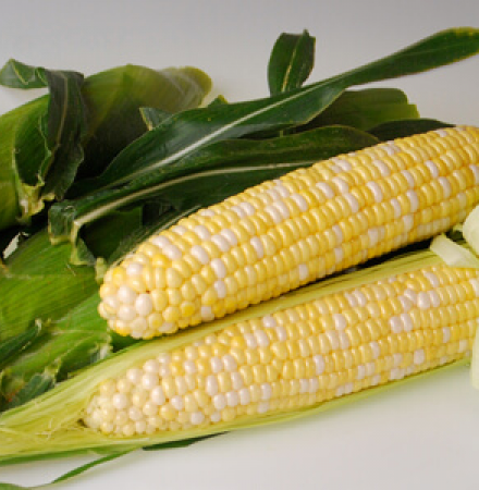 Crookham Sweet Corn Sweetness