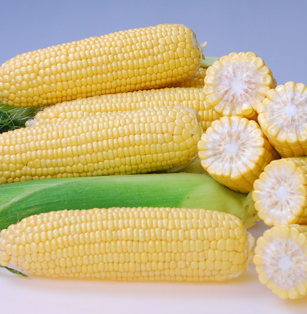 Crookham SweetCorn_CHYP18-1446