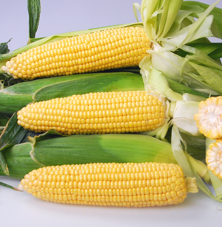 Crookham SweetCorn_Noa