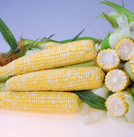 Crookham SweetCorn_B672