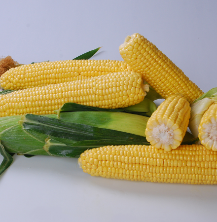 Crookham_SweetCorn_Talladega