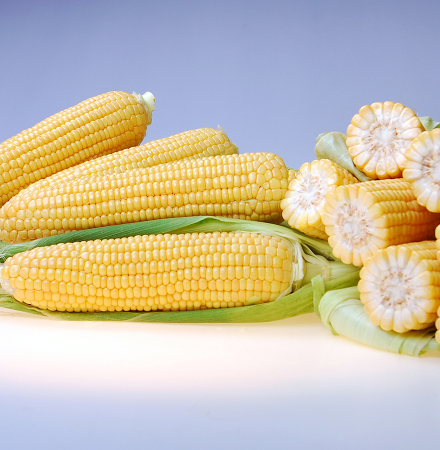 15-988 Crookham Sweet Corn Processors