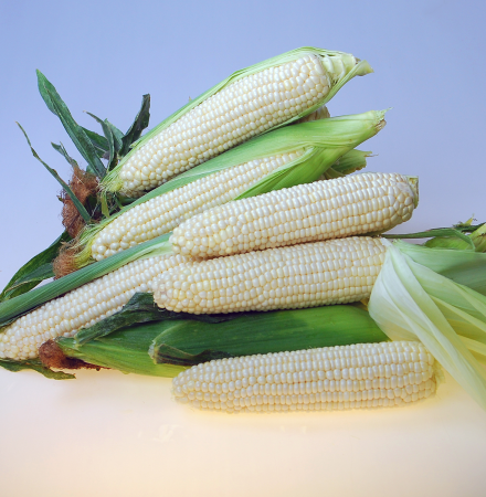 Eden RMN Crookham Sweet Corn Eden RMN Crookham Sweet Corn