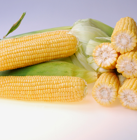 Salyna Crookham SweetCorn Processors