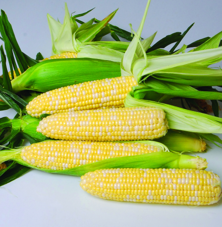 B411 Sweet Corn CrookhamCompany