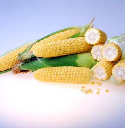 Samyra Sweet Corn Processor Crookham Company