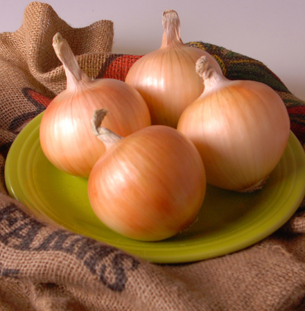 Crown Short Day Onion Crookham Company Short Day Onion Seed_Crown_Crookham Company