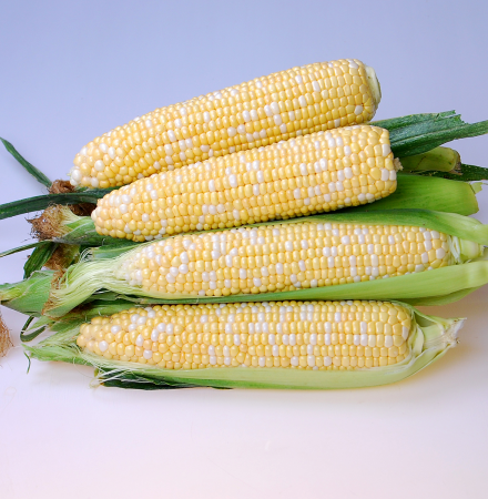 Inspiration Crookham Sweet Corn Fresh Market_16_1030 Inspiration Crookham Sweet Corn Fresh Market_16_1030