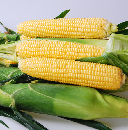 Equinox Crookham Sweet Corn Fresh Market Equinox Crookham Sweet Corn Fresh Market
