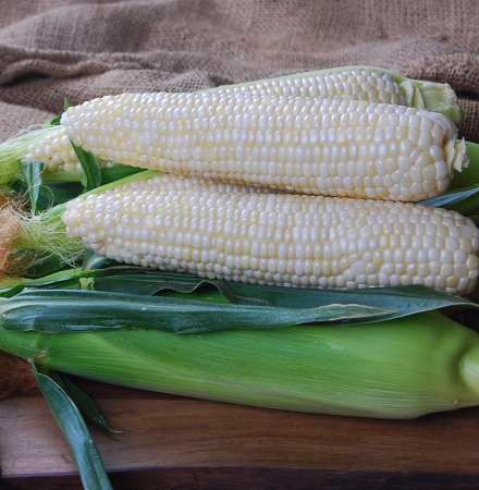 Diamond Mine CSQWF15-1007_Crookham Sweet Corn QuadSweets Diamond Mine CSQWF15-1007_Crookham Sweet Corn QuadSweets