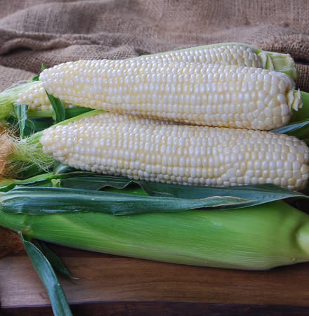 Diamond Mine CSQWF15-1007_Crookham Sweet Corn QuadSweets