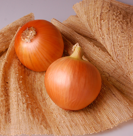 Crookham Intermediate Onion Seed Acadia