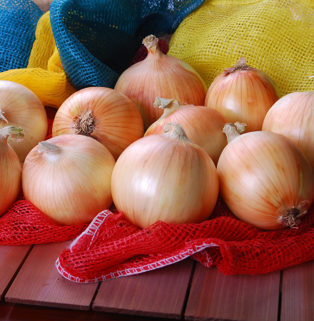 Delightful OIYS15-0092 Intermediate Onion Crookham Seed