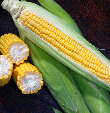 Sweet Corn Processor Seed Marvel Edge Crookham Company Seed