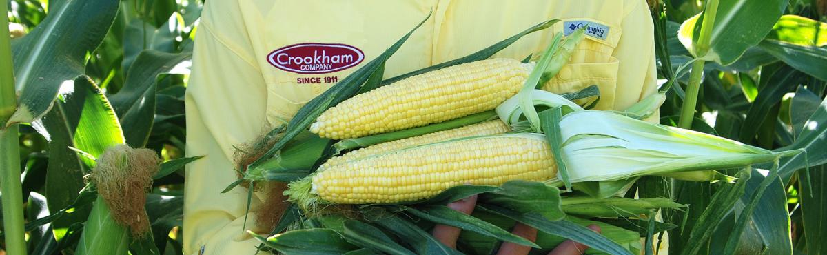 QuadSweets Crookham Company Sweet Corn