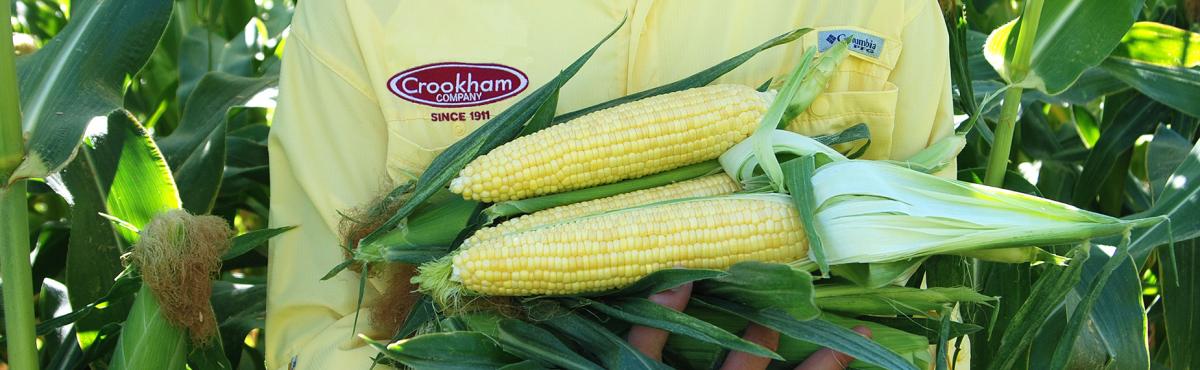 QuadSweets Crookham Company Sweet Corn 