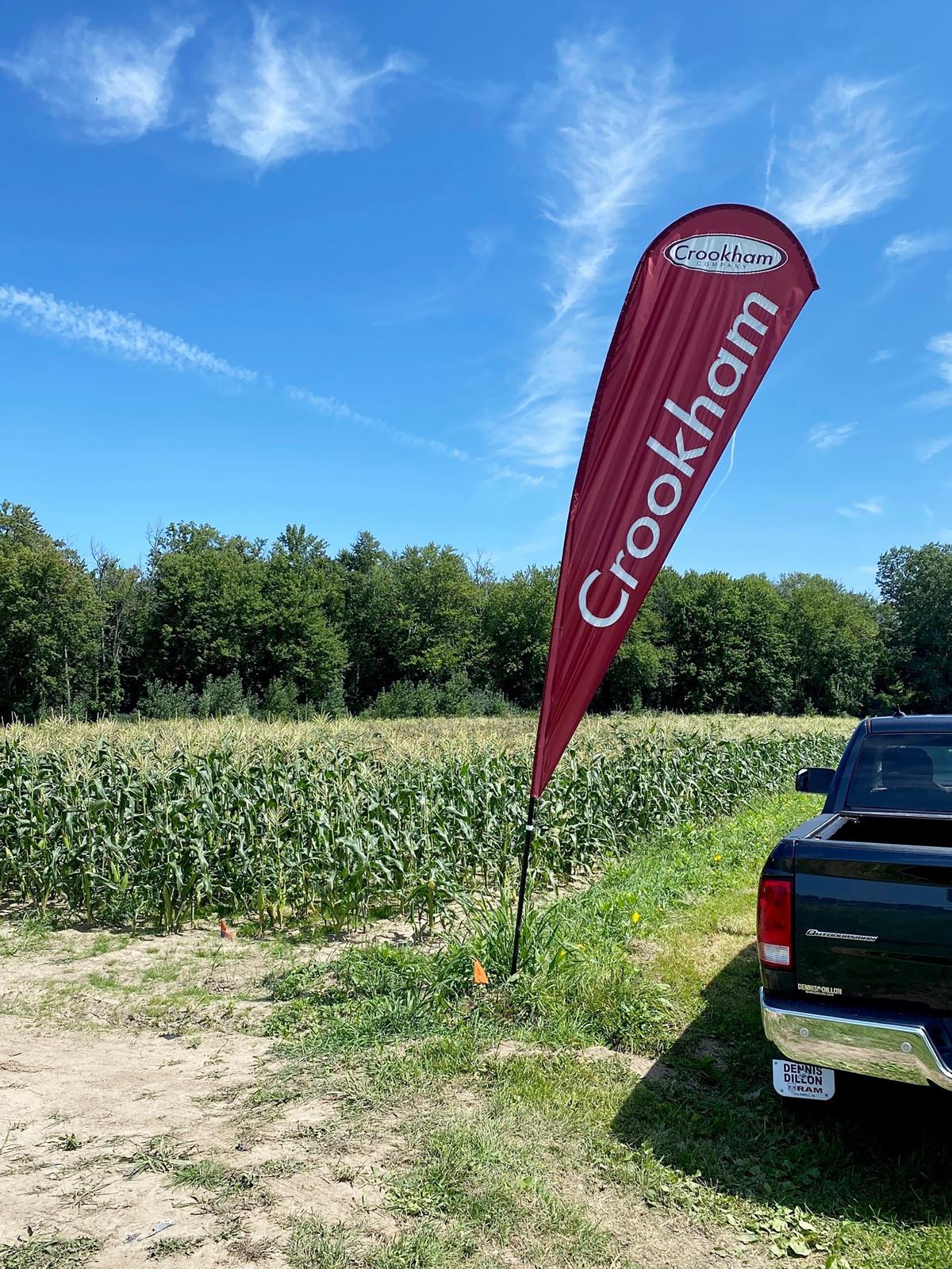 New York State Sweet Corn Trials 2024